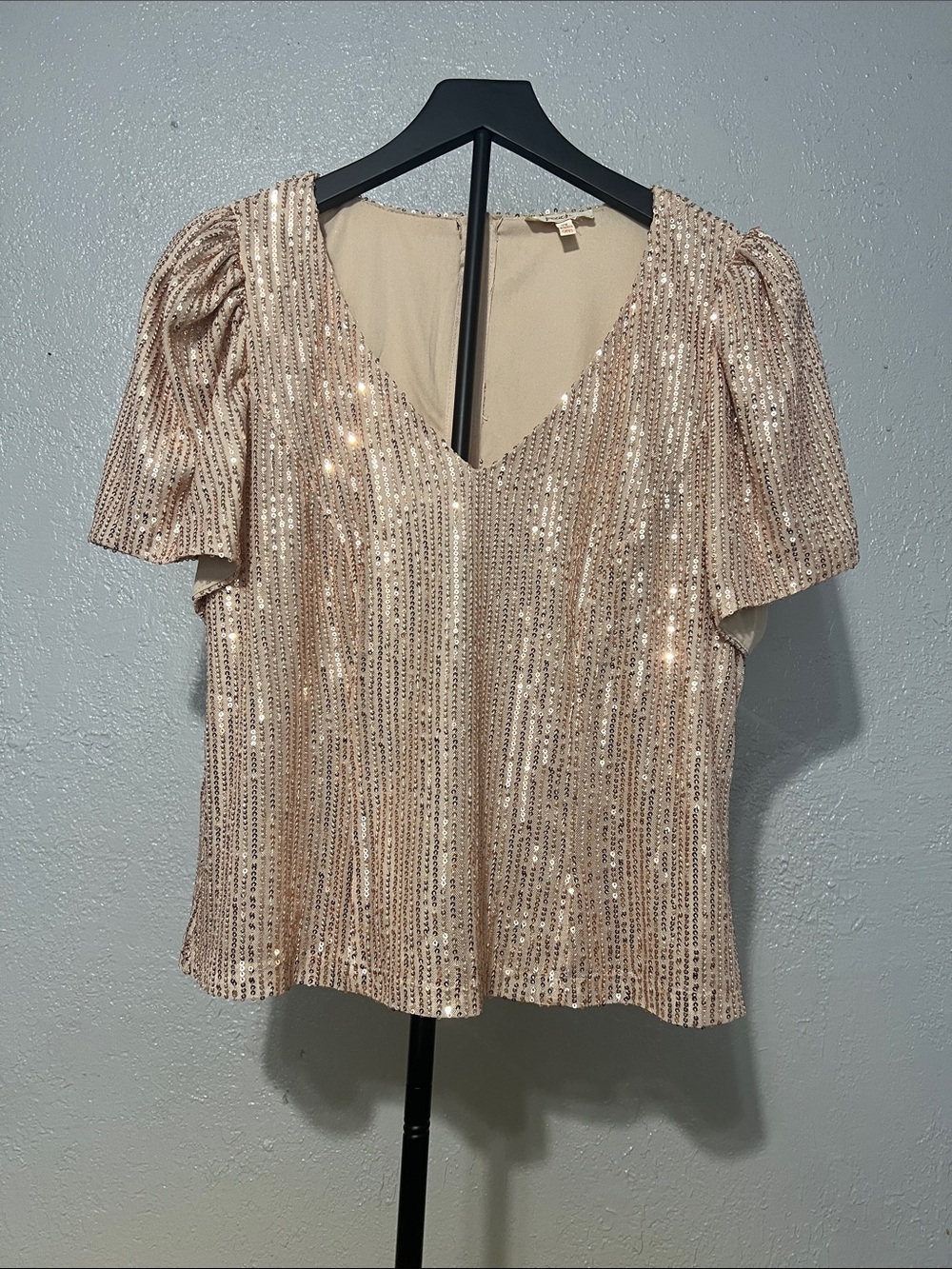 Sequin V-Neck Puff Sleeve Blouse in Blush